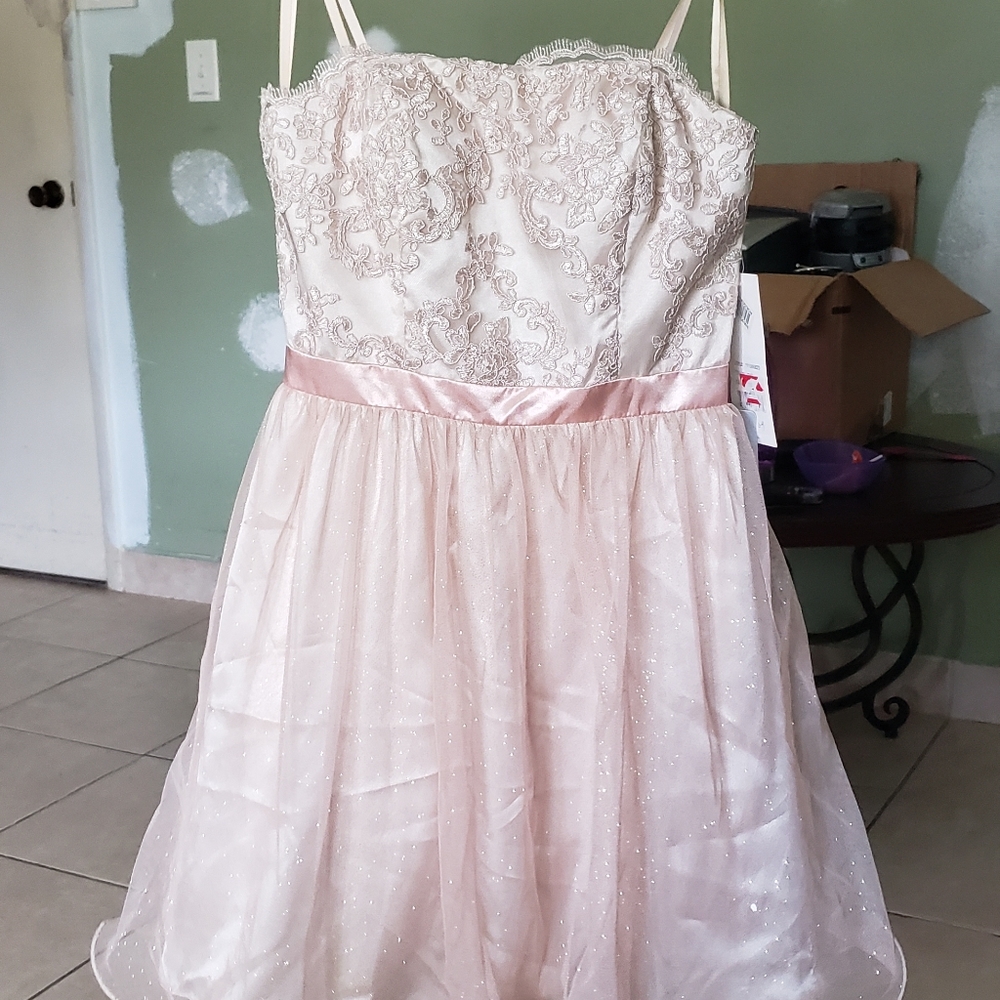 Adriana Papell dress